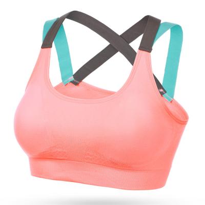 China Breathable Sports Bra For Women Gym Sports Underwear Pump Bra Seamless Fitness Tops Yoga Bra Female Sportswear for sale