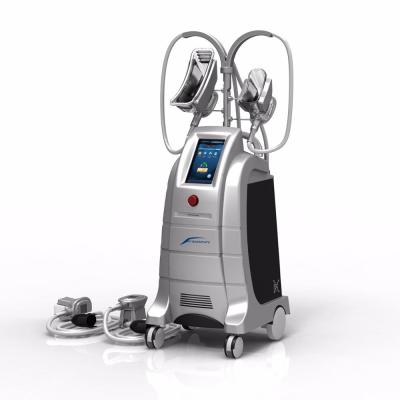 China Beco Cryolipolysis Machine ETG50 4S Cryolipolysis Weight Loss Fatfreeze Slimming Machine for sale