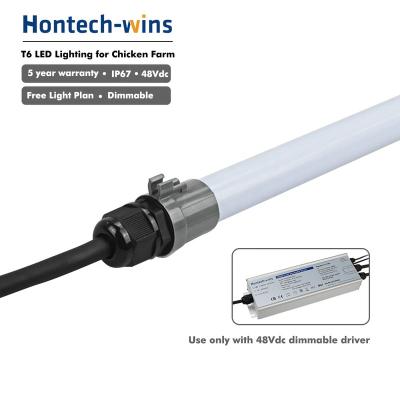 China Chicken farm plug and play led t5 /Poultry dimmable threw lights 1800mm DC48V waterproof for sale