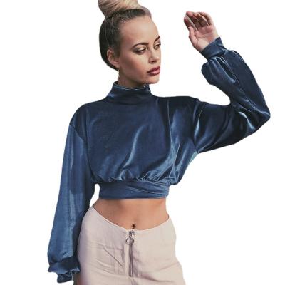 China Anti-pilling 2022 fashionable newcomer ladies casual plus size velvet sleeve crop Sweatershirts along oversized velvet pullover for sale