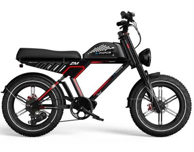 China Electric Bike 750W 20Ah Aluminum Alloy Lithium Iron Battery 48V Hub Gear Brushless Motor Electric Bike for sale