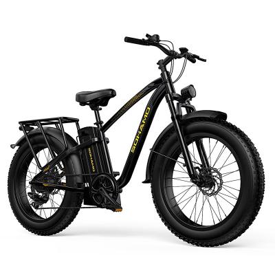 China Electric bike 48V 15Ah motor aluminum alloy 750W hub hub fat lithium battery brushless electric tire for sale