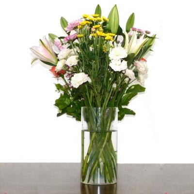 China Bulk Plant Eco-friendly Simple Design Tall Clear Glass Flower Vase Sets High Clear for sale