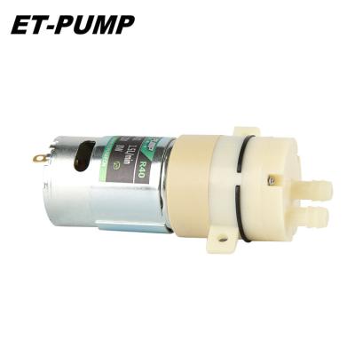 China Family Houses Large Viscosity Micro Solvent Diaphragm Silent Pump Reciprocating Pump For Dehumidifier for sale