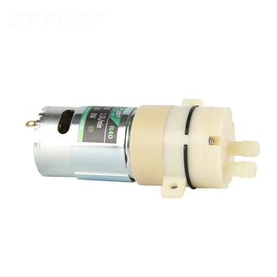 China Family Homes R40 Series 6V/12V/24V Small Micro Diaphragm Pump For Steam Cleaner Machine for sale