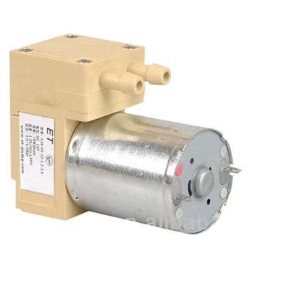 China Family Homes Brushed Food Grade Small Water Pump DC Motor Quiet Flow Self-Priming Water Pump for sale