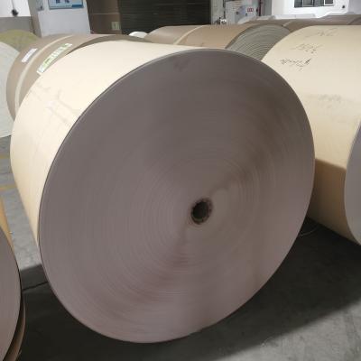 China Disposable Environmental Degradable Paper Cup Rolls Raw Material Pe Coated Paper Rolls For Paper Cups for sale