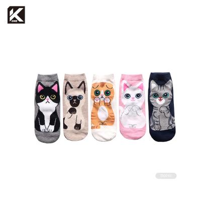 China KT1- D023 Sustainable Socks Cat for sale