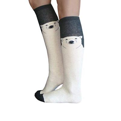 China Bear KTP-0627 Viable Knee High Socks for sale