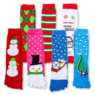 China Baby KT-A1-1169 Antibacterial Toe Socks Five Toes Cute Cotton Dress Socks for sale