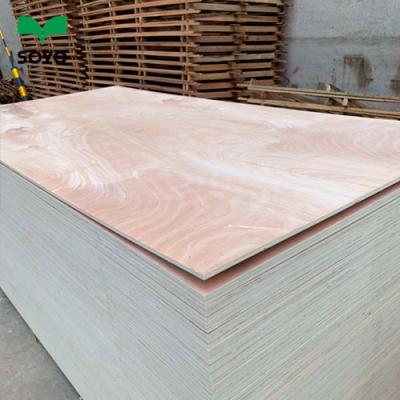 China Cheapest grade poplar plywood 6mm commercial grade furniture and decoration good quality furniture plywood for furniture for sale