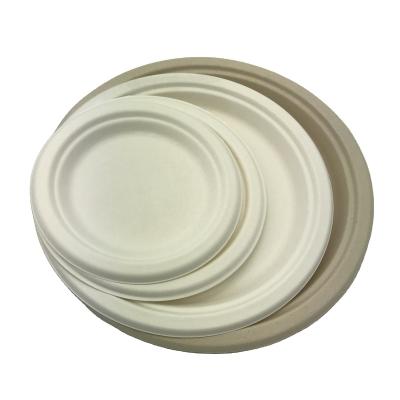 China Eco Disposable 100% Biodegradable Compostable Sugarcane Bagasse Dishes for sale