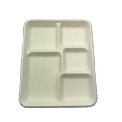 China Disposable 5-Compartment Sugarcane Tray Food Container PFAS Fiber Free Compostable Lunch Trays for sale