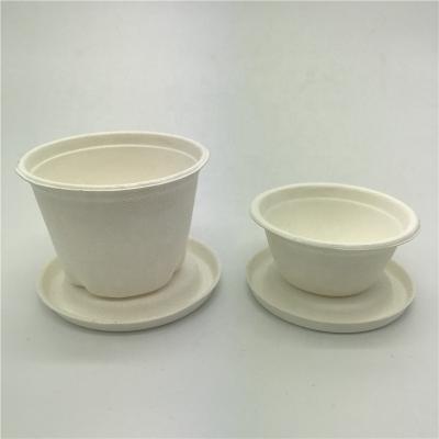 China 4oz PFAS Disposable Biodegradable Gravy Free To Go Cup With Lid 4oz Party Cups for sale