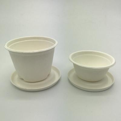 China Disposable PFAS Sugarcane Bagasse 2oz Free Biodegradable Party Cup for sale