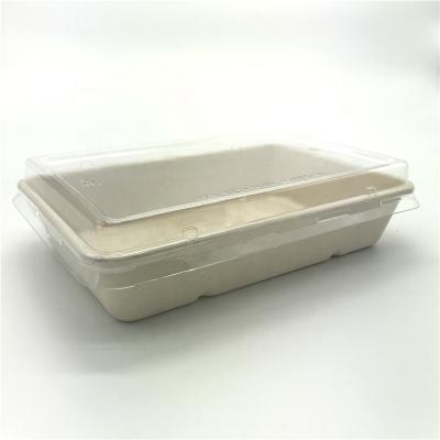 China Disposable Rectangular 28oz Tray With Lid PET Sugar Cane Pulp PFAS Free Salad Takeout Box for sale