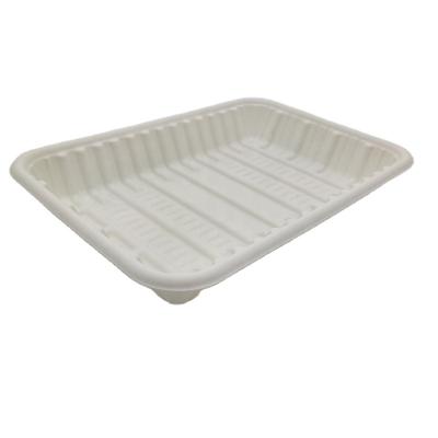 China Disposable Disposable Cornstarch Food Tray, Biodegradable Rectangular Dish for sale