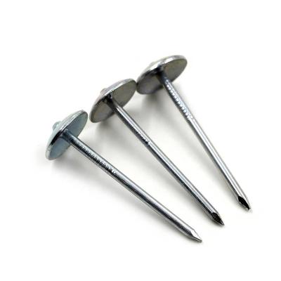 China Long Span Flat Asbestos 8Mm Tanzanite 2.5 Inch Galvanized Corrugated Umbrella Head Roofing Nails 25