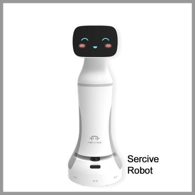 China Artificial intelligence intelligent service robot humanoids bar humanoids bar intelligent robot for sale