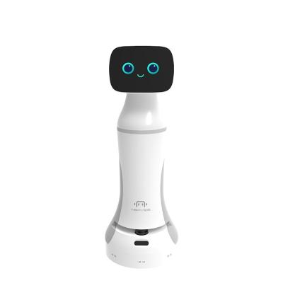 China High Quality Artificial Intelligence Service Robot Shopping Mall Reception Service AI Home Care AI Robot for sale