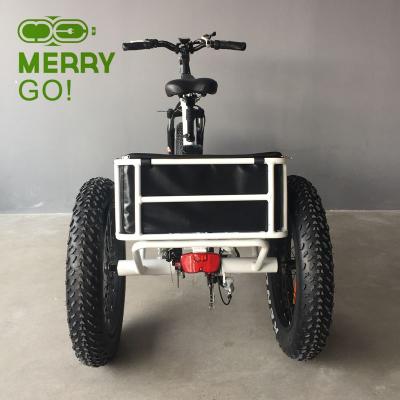 China Wholesale Hot Sale Aluminum Alloy Tire 500w Electric Tricycle Motor Three Wheel Cargo Motorcycles for sale