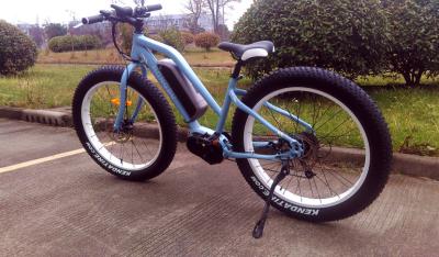 China Aluminum Alloy Cool Electric Bicycles Fat Tire Ebike With Mid Drive Electric Bike Motor for sale