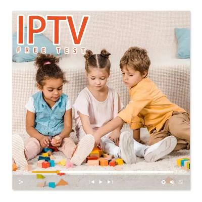 China Global IPTV Reseller Group M3u Link Spain Germany Free Trial Android IP TV Stable Subscription 12 Months M3u for sale