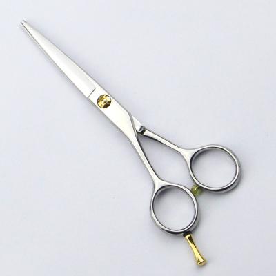 China Gold Screw Silver Left Handed Hairdressing Scissors For Hair Cutting for sale