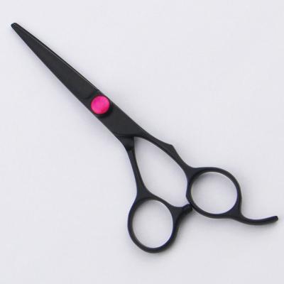 China Beauty Salon 6 Inch Hairdressing Scissors Long Hair Cutting For Women for sale