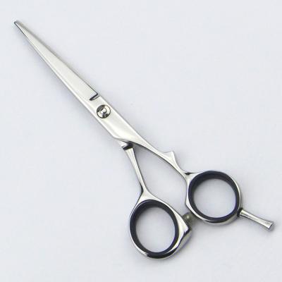 China Stainless Steel hair scissors 5.5 Inch professional barber scissors for sale