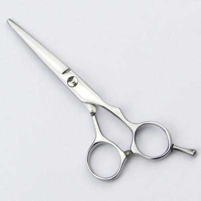 China Stainless Steel Hair Cutting Scissors Professional 5.5 Inch For Women Hair for sale