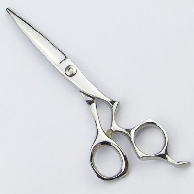 China 5.5 Inch Hair Stylist Shears Hairstyles Cutting For Medium Hair for sale