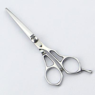 China 5.5 Inch Hairdressing Scissors With Japanese 420J2 Stainless Steel Material for sale