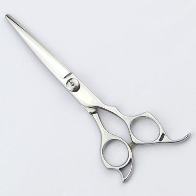 China Barber Salon 5.5 Inch Hairdressing Scissors For Hair Cutting Professional for sale