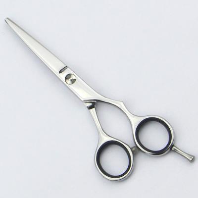 China Hairdressing Tool 6 Inch Hairdressing Scissors For Hairstyle Cutting for sale