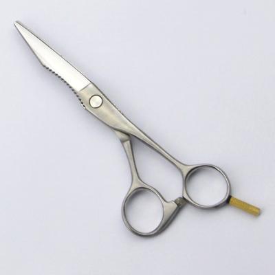 China Popular Titanium Hair Scissors Stainless Steel For Hair Cutting for sale