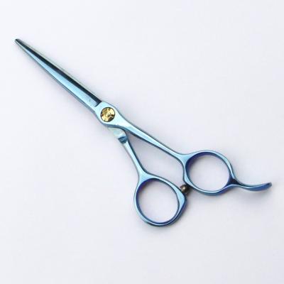 China Womens 5.5 Inch Professional Hair Cutting Tools Salon Scissors for sale