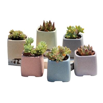 China CLASSIC Ceramic Rough Succulent Pots Green Plant Pots Large Diameter Pottery Flowerpot Color Flower Basin Home Office Decoration for sale