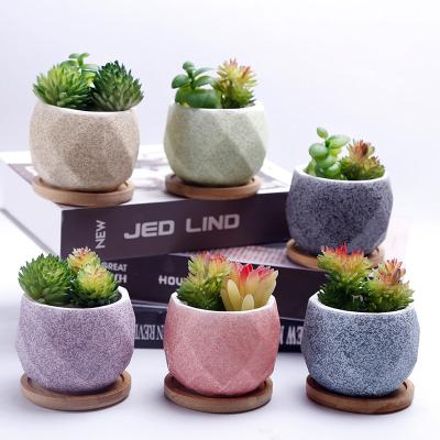 China Modern Custom Ceramic Plant Small Thick Succulent Pot Pottery Desktop Flowerpot Color Macaroon Gardening Fleshy Planter With Tray for sale