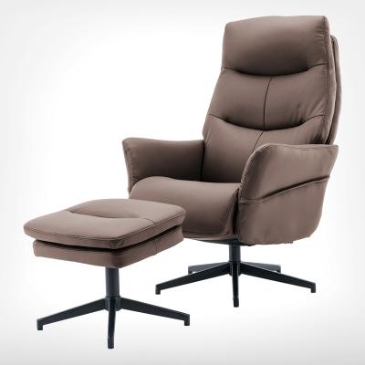 China Recliner HDARAY Tek Popular Luxury Brown Technology Fabric Electric Lift Massage Sofa Recliner Chair for sale