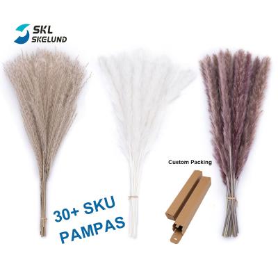 China Wholesale Pampas Grass Pampas Grass Large Dry Natural Pampas Grass Reed Flower Home Boho Decorative Artificial Decor Bouquet Pampas Grass for sale