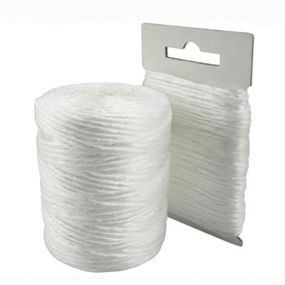 China Resists Rot 400 ft Polypropylene White Agriculture Twine for sale