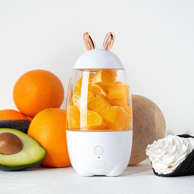 China Custom Mini Fruit Blender Usb Portable Electric Fruit Squeezer Easy Handling Small Rechargeable Cup for sale