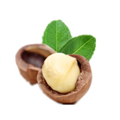 China Factory Manufacturer Price Chocolate Macadamia Dry Nuts For Sale for sale