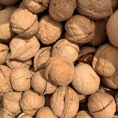 China Good Selling Bulk 100% Natural Healthy Nuts Best Quality Food Available Nuts Dry For Nuts for sale