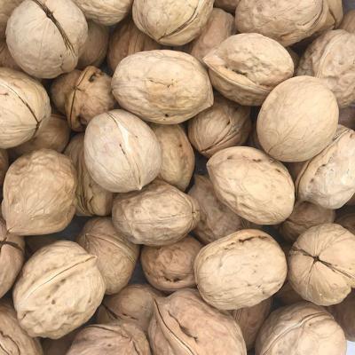 China Dried Chinese Organic Shell, Xinjiang, Chinese High Quality Half Walnut Kernel for sale