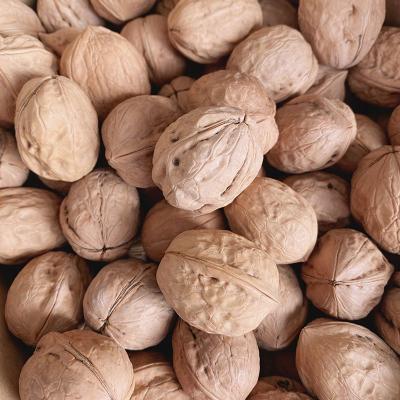 China China Wholesale Price Dry Semi-Vacuum Packaging Organic Walnuts In Shell High Quality Walnuts Kernels for sale