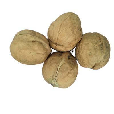 China Direct wholesale dry and exquisite structure cheap nuts made in china for sale