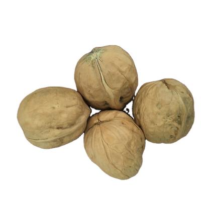 China Direct Selling Dried Natural Organic Cultivated Walnuts Likely Wholesale for sale