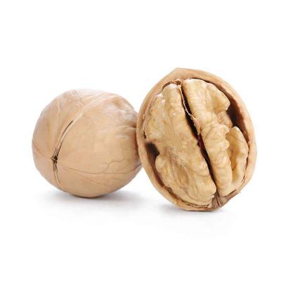 China Dried walnuts in Shell type 33, washed for sale